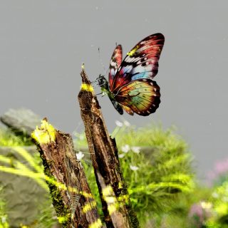 The Ethical Black Hole of AI Development: Why Speed Kills Progress